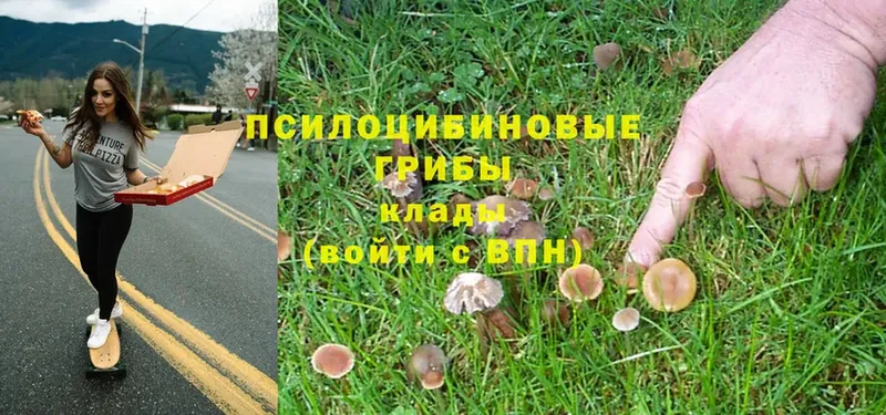 Псилоцибиновые грибы MAGIC MUSHROOMS  Багратионовск 